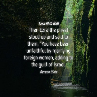 Picture 04 - Ezra 10:10 BSB - Then Ezra the priest stood up and said to them, - Bible Verse Picture