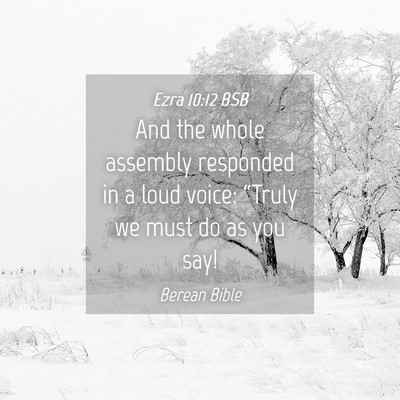Picture 04 - Ezra 10:12 BSB - And the whole assembly responded in a loud voice: - Bible Verse Picture