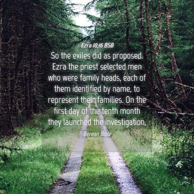 Picture 04 - Ezra 10:16 BSB - So the exiles did as proposed. Ezra the priest - Bible Verse Picture