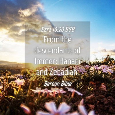 Picture 04 - Ezra 10:20 BSB - From the descendants of Immer: Hanani and - Bible Verse Picture