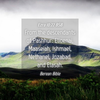 Picture 04 - Ezra 10:22 BSB - From the descendants of Pashhur: Elioenai, - Bible Verse Picture