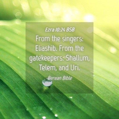 Picture 04 - Ezra 10:24 BSB - From the singers: Eliashib. From the gatekeepers: - Bible Verse Picture