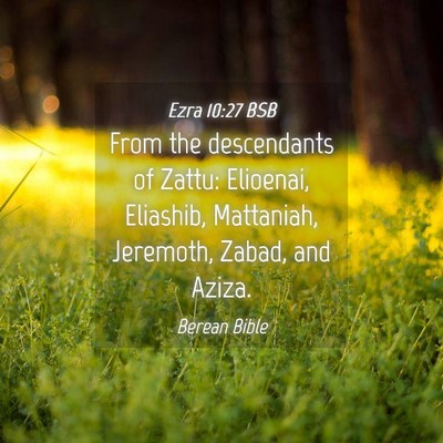 Picture 04 - Ezra 10:27 BSB - From the descendants of Zattu: Elioenai, - Bible Verse Picture