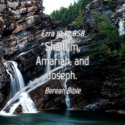 Picture 04 - Ezra 10:42 BSB - Shallum, Amariah, and - Bible Verse Picture
