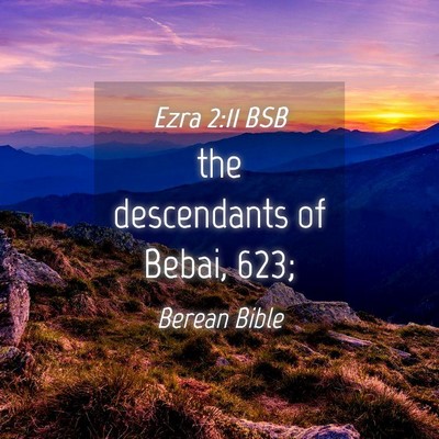 Picture 04 - Ezra 2:11 BSB - the descendants of Bebai, - Bible Verse Picture