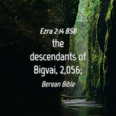 Picture 04 - Ezra 2:14 BSB - the descendants of Bigvai, - Bible Verse Picture