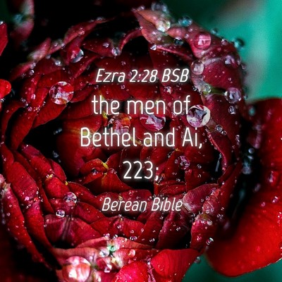 Picture 04 - Ezra 2:28 BSB - the men of Bethel and Ai, - Bible Verse Picture