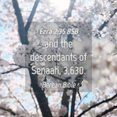 Picture 04 - Ezra 2:35 BSB - and the descendants of Senaah, - Bible Verse Picture