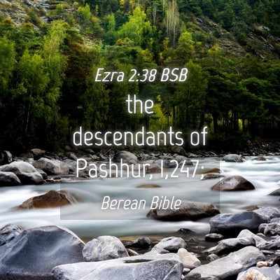 Picture 04 - Ezra 2:38 BSB - the descendants of Pashhur, - Bible Verse Picture