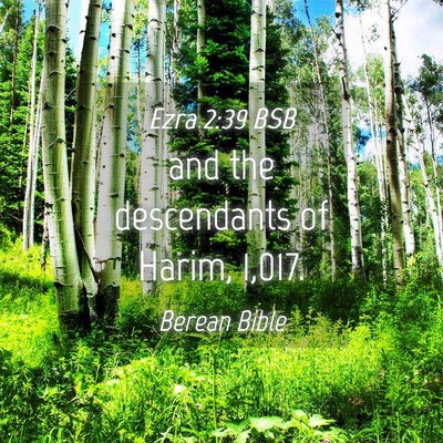 Picture 04 - Ezra 2:39 BSB - and the descendants of Harim, - Bible Verse Picture