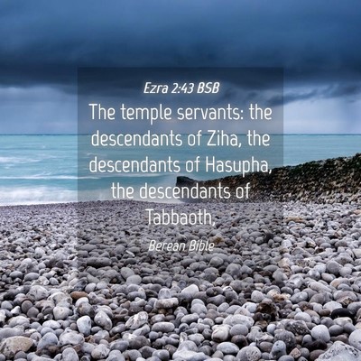 Picture 04 - Ezra 2:43 BSB - The temple servants: the descendants of Ziha, the - Bible Verse Picture