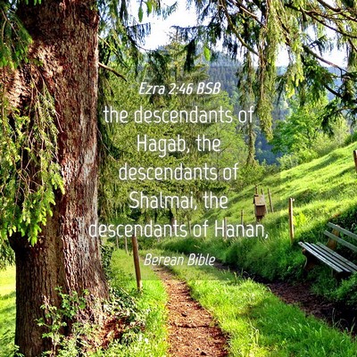 Picture 04 - Ezra 2:46 BSB - the descendants of Hagab, the descendants of - Bible Verse Picture