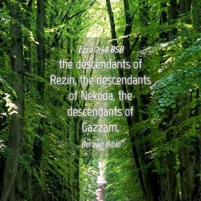 Picture 04 - Ezra 2:48 BSB - the descendants of Rezin, the descendants of - Bible Verse Picture