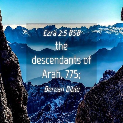 Picture 04 - Ezra 2:5 BSB - the descendants of Arah, - Bible Verse Picture