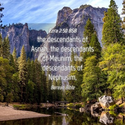Picture 04 - Ezra 2:50 BSB - the descendants of Asnah, the descendants of - Bible Verse Picture
