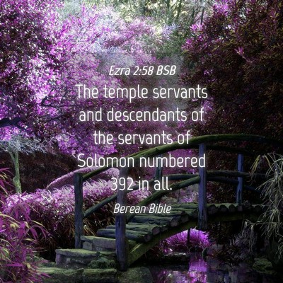 Picture 04 - Ezra 2:58 BSB - The temple servants and descendants of the - Bible Verse Picture