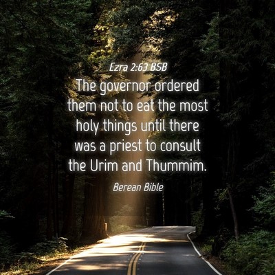Picture 04 - Ezra 2:63 BSB - The governor ordered them not to eat the most - Bible Verse Picture
