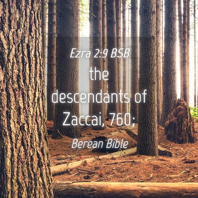 Picture 04 - Ezra 2:9 BSB - the descendants of Zaccai, - Bible Verse Picture