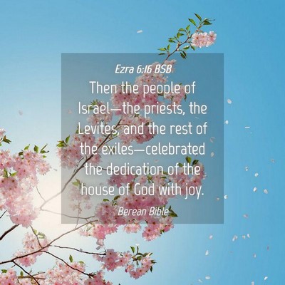 Picture 04 - Ezra 6:16 BSB - Then the people of Israel—the priests, the - Bible Verse Picture