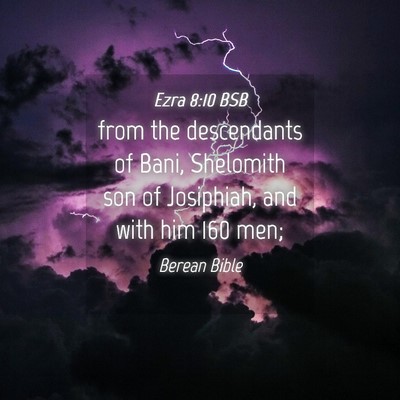 Picture 04 - Ezra 8:10 BSB - from the descendants of Bani, Shelomith son of - Bible Verse Picture