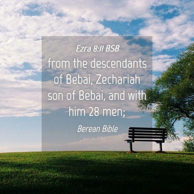 Picture 04 - Ezra 8:11 BSB - from the descendants of Bebai, Zechariah son of - Bible Verse Picture