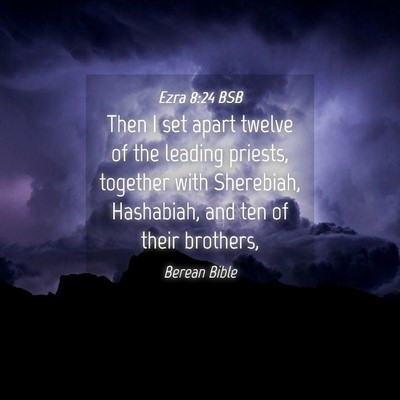 Picture 04 - Ezra 8:24 BSB - Then I set apart twelve of the leading priests, - Bible Verse Picture