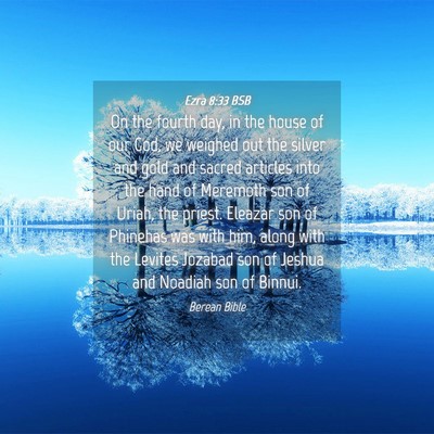 Picture 04 - Ezra 8:33 BSB - On the fourth day, in the house of our God, we - Bible Verse Picture