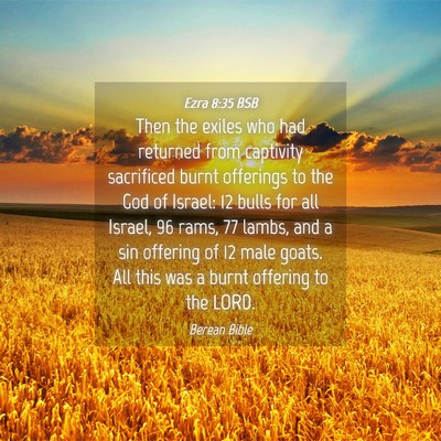 Picture 04 - Ezra 8:35 BSB - Then the exiles who had returned from captivity - Bible Verse Picture