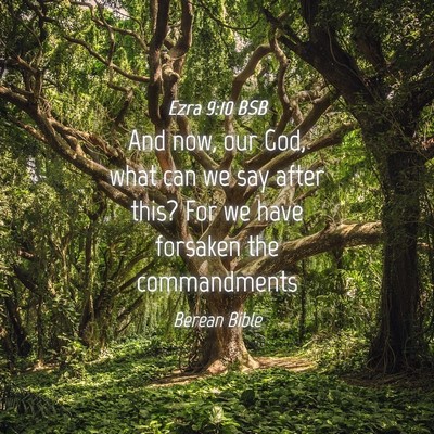 Picture 04 - Ezra 9:10 BSB - And now, our God, what can we say after this? For - Bible Verse Picture