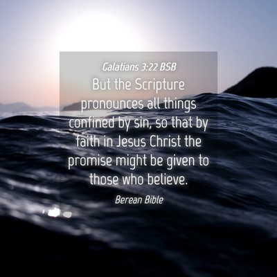 Picture 04 - Galatians 3:22 BSB - But the Scripture pronounces all things confined - Bible Verse Picture