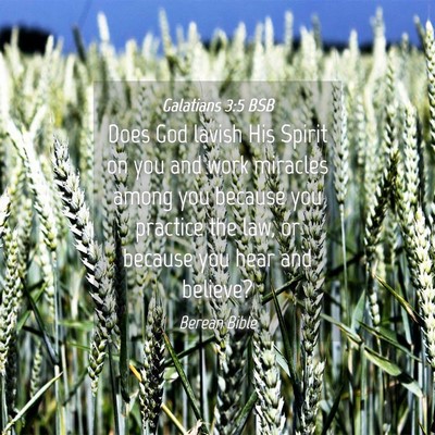 Picture 04 - Galatians 3:5 BSB - Does God lavish His Spirit on you and work - Bible Verse Picture
