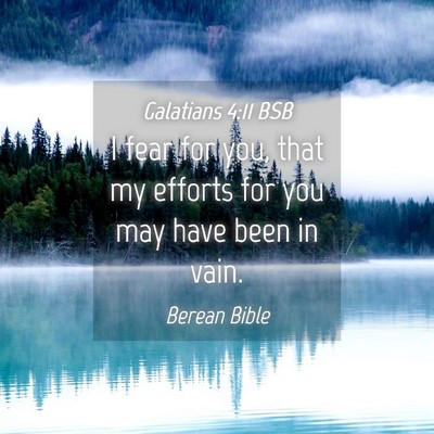 Picture 04 - Galatians 4:11 BSB - I fear for you, that my efforts for you may have - Bible Verse Picture