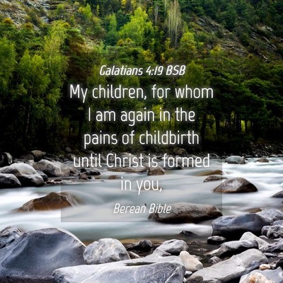 Picture 04 - Galatians 4:19 BSB - My children, for whom I am again in the pains of - Bible Verse Picture