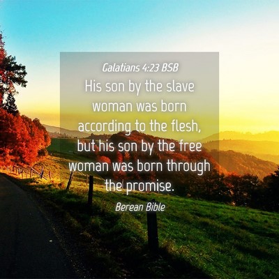 Picture 04 - Galatians 4:23 BSB - His son by the slave woman was born according to - Bible Verse Picture