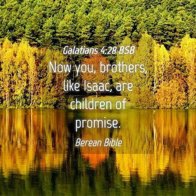 Picture 04 - Galatians 4:28 BSB - Now you, brothers, like Isaac, are children of - Bible Verse Picture