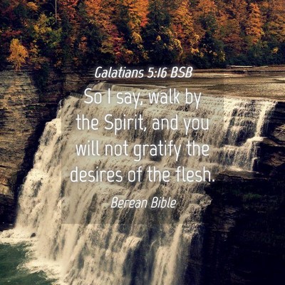 Picture 04 - Galatians 5:16 BSB - So I say, walk by the Spirit, and you will not - Bible Verse Picture