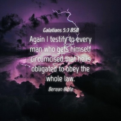 Picture 04 - Galatians 5:3 BSB - Again I testify to every man who gets himself - Bible Verse Picture