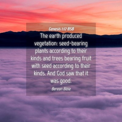 Picture 04 - Genesis 1:12 BSB - The earth produced vegetation: seed-bearing - Bible Verse Picture