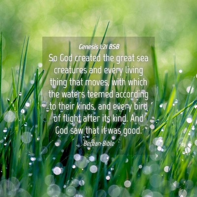 Picture 04 - Genesis 1:21 BSB - So God created the great sea creatures and every - Bible Verse Picture