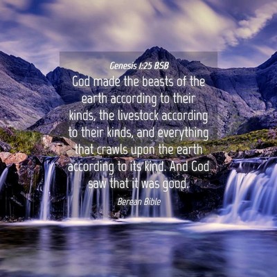 Picture 04 - Genesis 1:25 BSB - God made the beasts of the earth according to - Bible Verse Picture