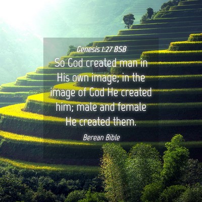 Picture 04 - Genesis 1:27 BSB - So God created man in His own image; in the image - Bible Verse Picture