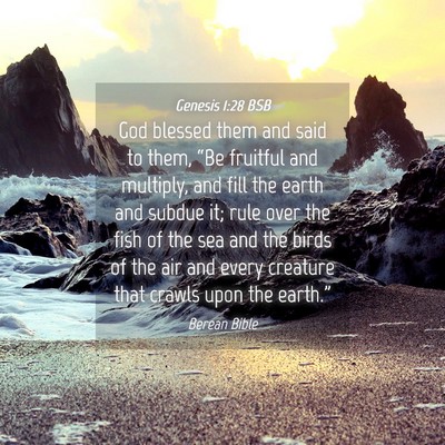 Picture 04 - Genesis 1:28 BSB - God blessed them and said to them, “Be fruitful - Bible Verse Picture
