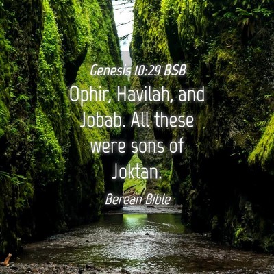Picture 04 - Genesis 10:29 BSB - Ophir, Havilah, and Jobab. All these were sons of - Bible Verse Picture