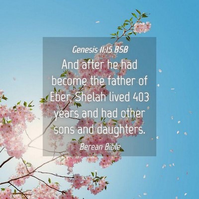 Picture 04 - Genesis 11:15 BSB - And after he had become the father of Eber, - Bible Verse Picture