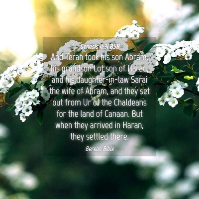 Picture 04 - Genesis 11:31 BSB - And Terah took his son Abram, his grandson Lot - Bible Verse Picture