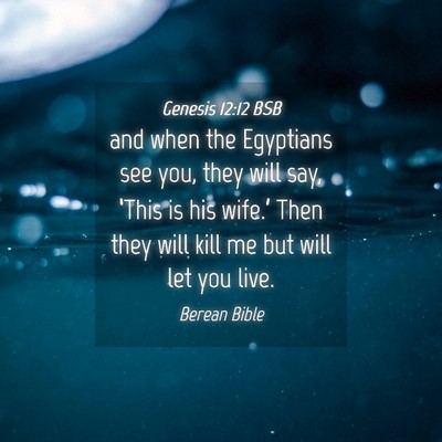 Picture 04 - Genesis 12:12 BSB - and when the Egyptians see you, they will say, - Bible Verse Picture