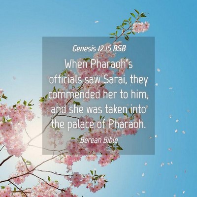Picture 04 - Genesis 12:15 BSB - When Pharaoh’s officials saw Sarai, they - Bible Verse Picture