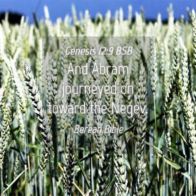 Picture 04 - Genesis 12:9 BSB - And Abram journeyed on toward the - Bible Verse Picture