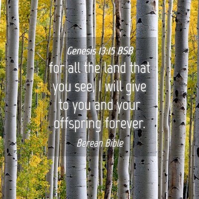 Picture 04 - Genesis 13:15 BSB - for all the land that you see, I will give to you - Bible Verse Picture