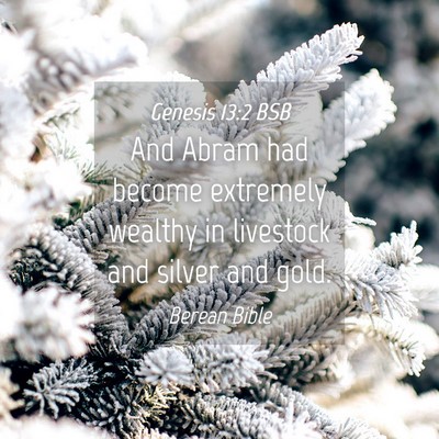 Picture 04 - Genesis 13:2 BSB - And Abram had become extremely wealthy in - Bible Verse Picture